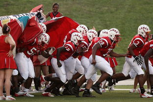 kaiyun网站-全国青少年长跑赛在南京掀起跑步热潮，青少年长跑标准