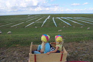 开云官方网站-青少年足球训练方法现代化，青少年足球技术